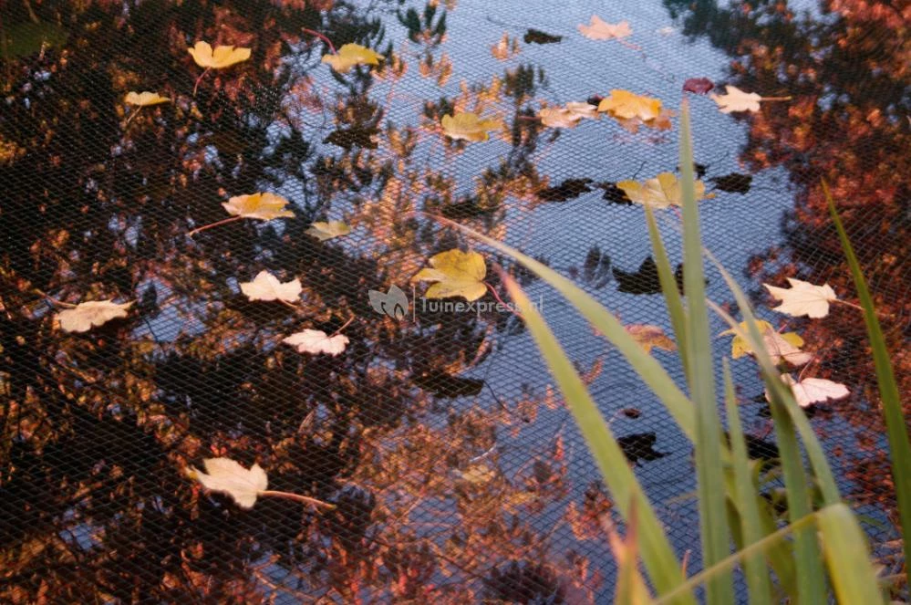 Vijvernet 2 X 3 Meter Met Grondpennen - Image 3