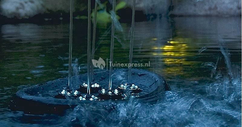 OASE Water Starlet Fontein - Image 4