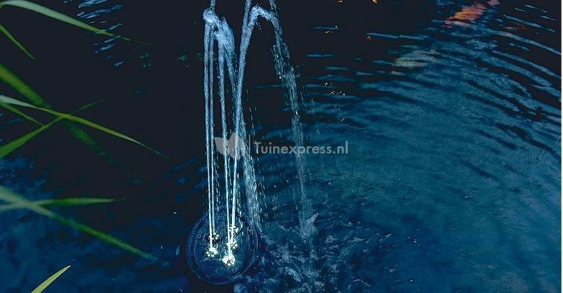 OASE Water Starlet Fontein - Image 3