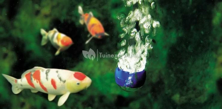 Oase AquaOxy 250 Luchtpomp - Image 4