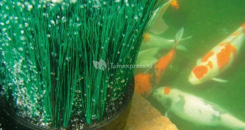 Oase OxyTex CWS Set 500 Luchtpomp - Image 5