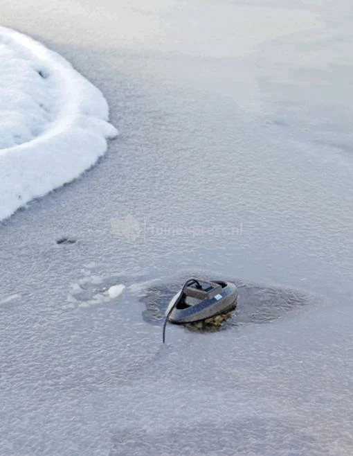 OASE IceFree Thermo 200 Ijsvrijhouder Vijver - Image 3