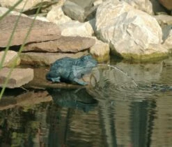 Ubbink Kikker Spuitfiguur - Klein