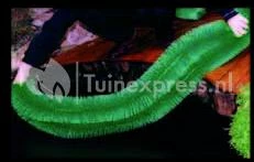 Eierafzetborstel Best Brush