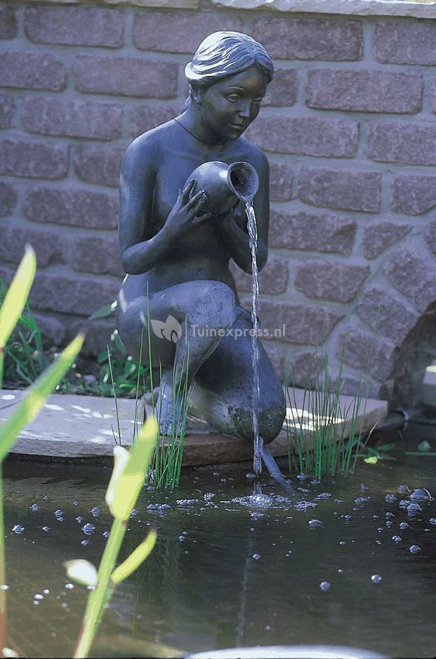 OASE Aquarius Universal Classic 1000 Fonteinpomp - Image 3