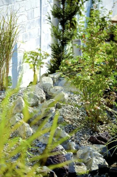 OASE Beekloopelement Zand Recht Element - Image 2