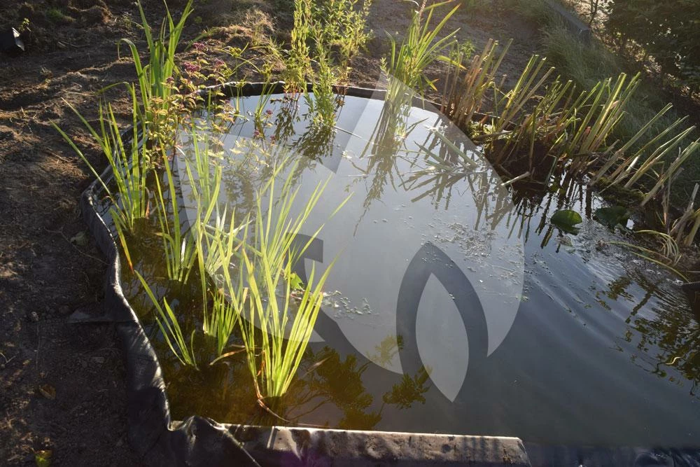 Nature Flexibele Borderrand 19 Cm X 15 M - Image 6