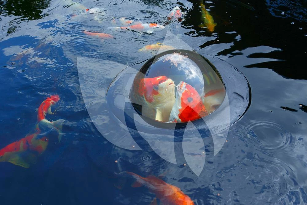 Velda Floating Fish Dome Klein - Image 2