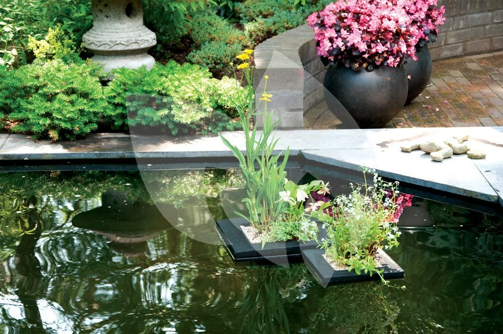 Drijvend Planteneiland 25 X 25 Cm Vierkant Velda - Image 2