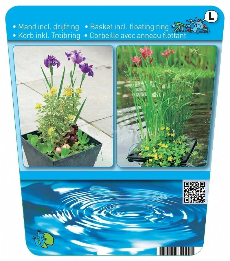 Mix Waterplanten Op Drijvend Planteneiland - Image 2