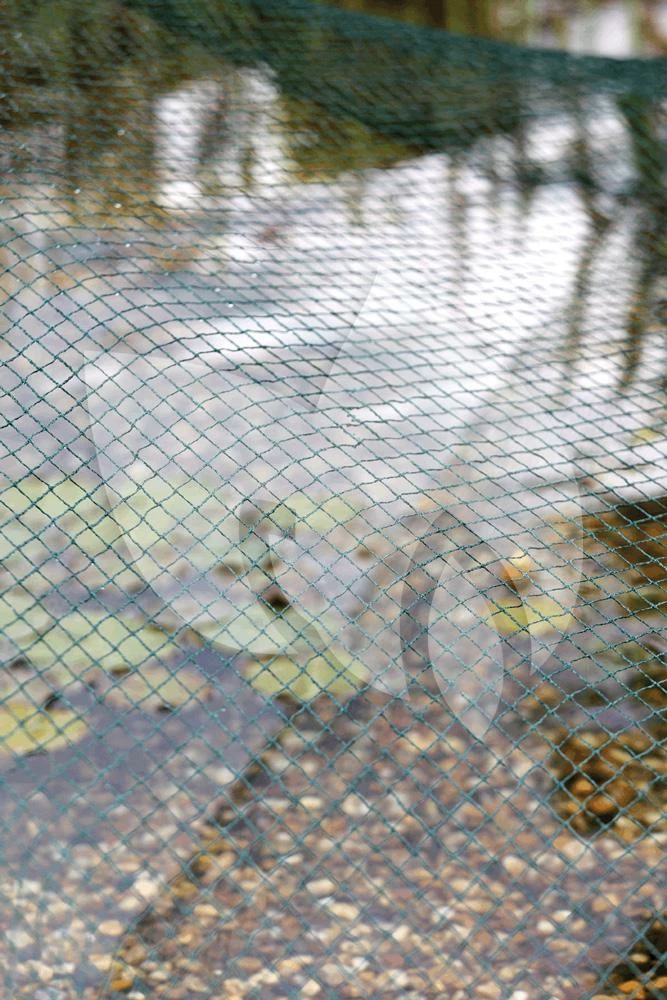 Oase Vijvernet 6 X 10 Meter - Image 3