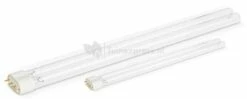 Express UVC PL 36 Watt Lamp
