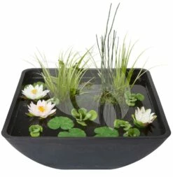 Velda Terrasvijver Fountain Pond Vierkant Groot