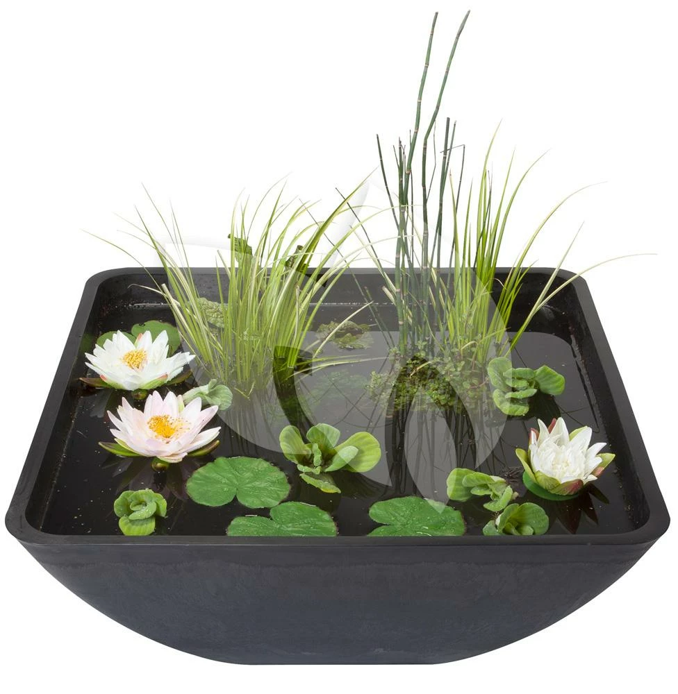 Velda Terrasvijver Fountain Pond Vierkant Groot