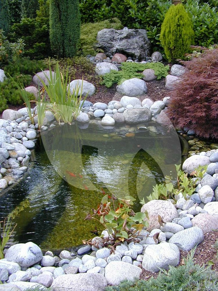 Ubbink FiltraPure 2000 PlusSet Vijverfilter - Image 3