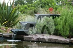 Ubbink Losse Schalen Nova Scotia Waterornament