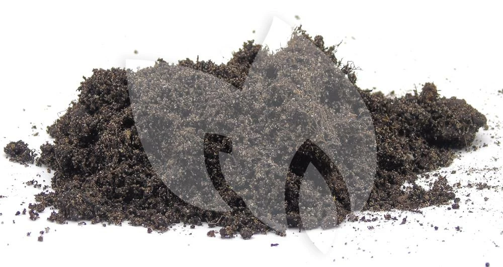 Ubbink Waterlelie Aarde